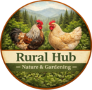 imagen heif photoroom