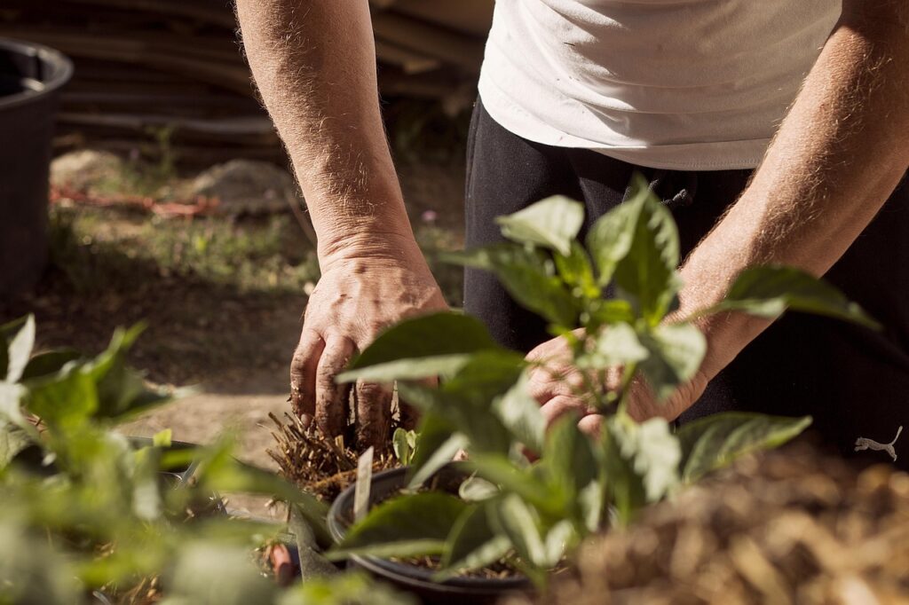 garden, nature, working hands, dirt, earthing, mother earth, plants, planting, earth day